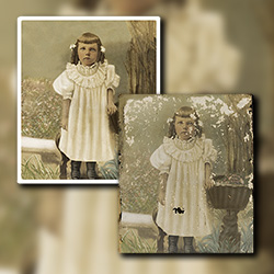 Restoration of a Victorian Era photograph damaged by silverfish and other insects